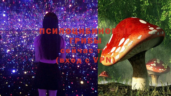 гидра Белоозёрский