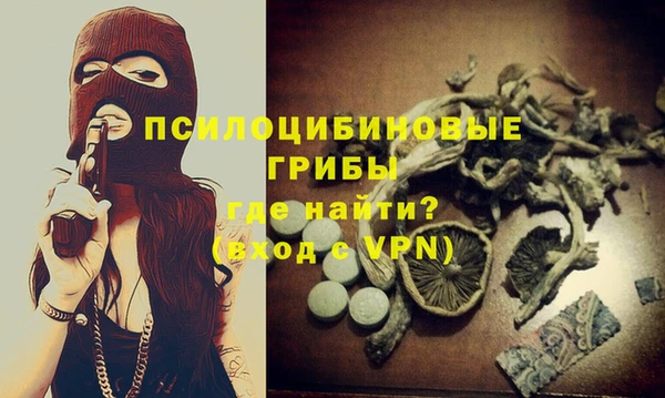тгк Беломорск