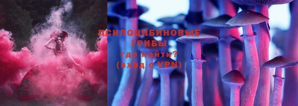 гидра Белоозёрский