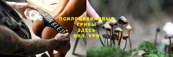 круглые Белокуриха