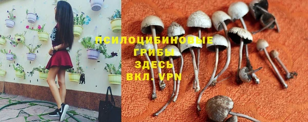гидра Белоозёрский