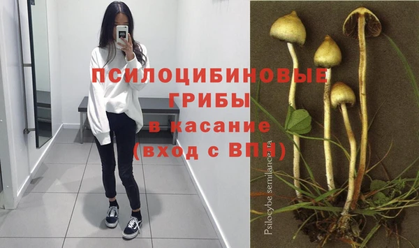 круглые Белокуриха