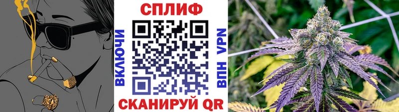 Конопля Ganja  Воронеж 